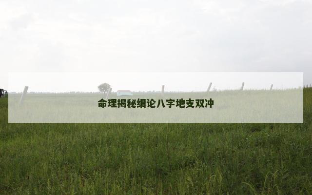 命理揭秘细论八字地支双冲