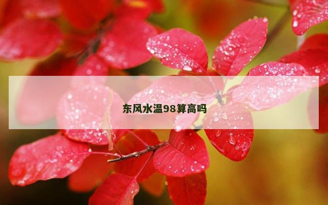 东风水温98算高吗