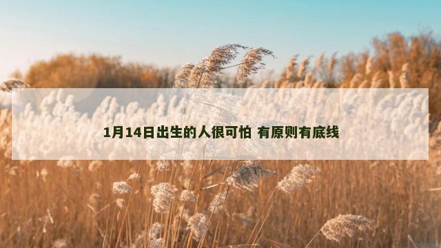 1月14日出生的人很可怕 有原则有底线