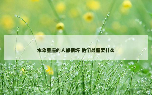 水象星座的人都很坏 他们最需要什么