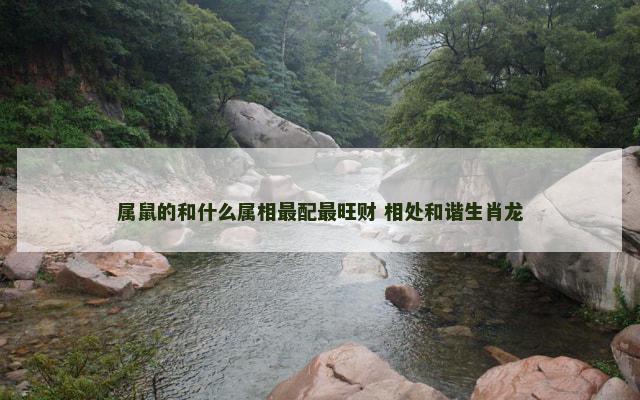 属鼠的和什么属相最配最旺财 相处和谐生肖龙