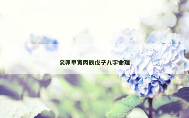 癸卯甲寅丙辰戊子八字命理