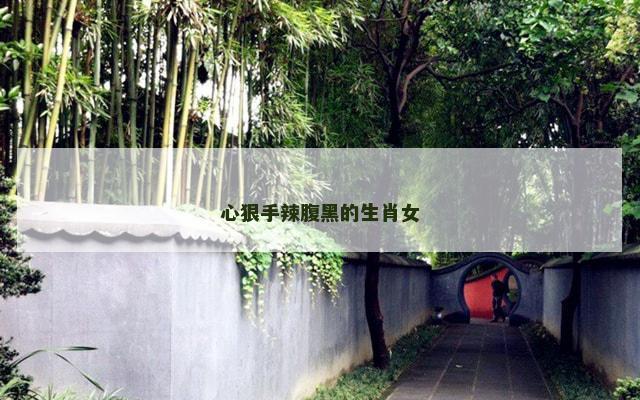 心狠手辣腹黑的生肖女