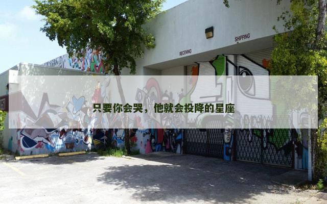 只要你会哭，他就会投降的星座