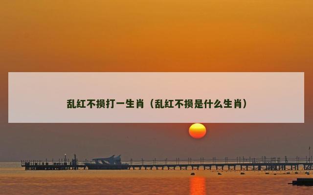 乱红不损打一生肖（乱红不损是什么生肖）