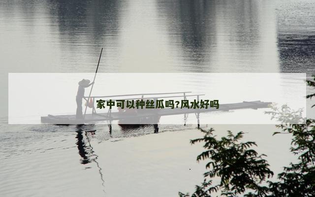 家中可以种丝瓜吗?风水好吗