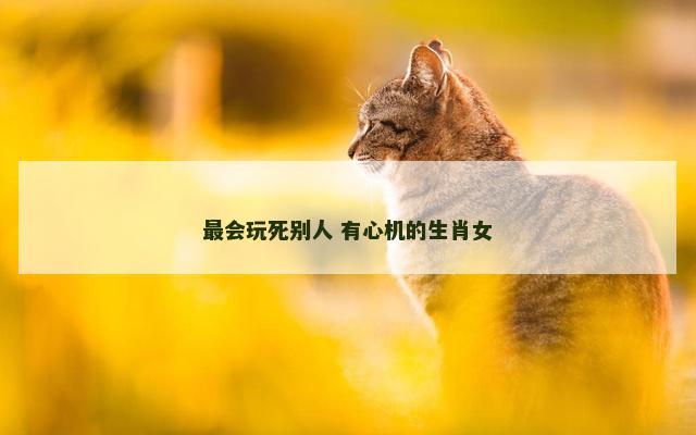 最会玩死别人 有心机的生肖女