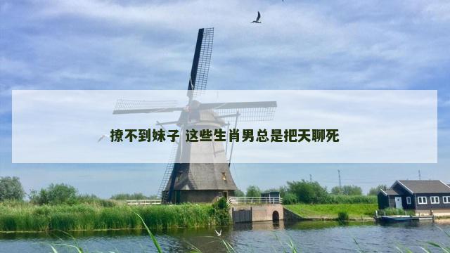 撩不到妹子 这些生肖男总是把天聊死