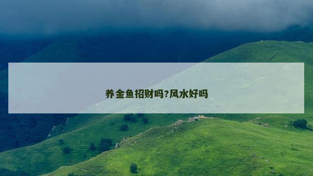 养金鱼招财吗?风水好吗