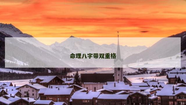 命理八字带双重格