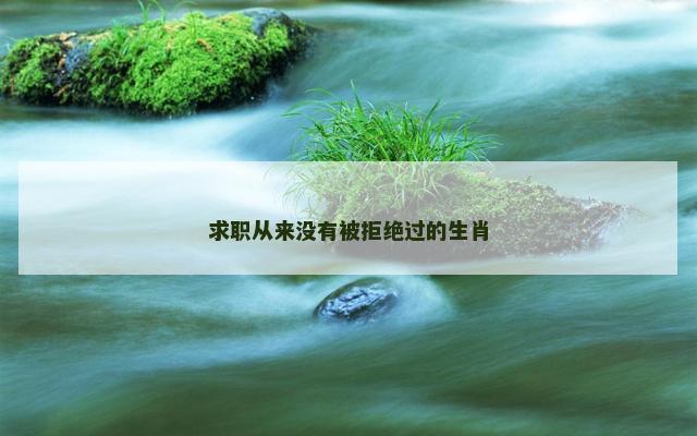 求职从来没有被拒绝过的生肖