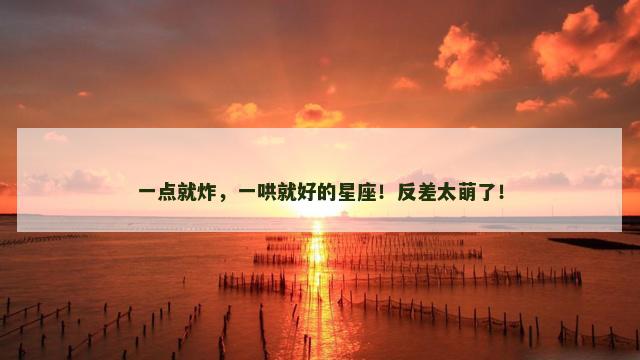 一点就炸，一哄就好的星座！反差太萌了！