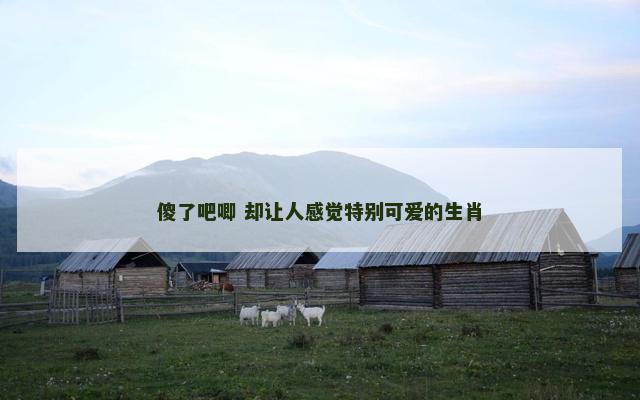 傻了吧唧 却让人感觉特别可爱的生肖