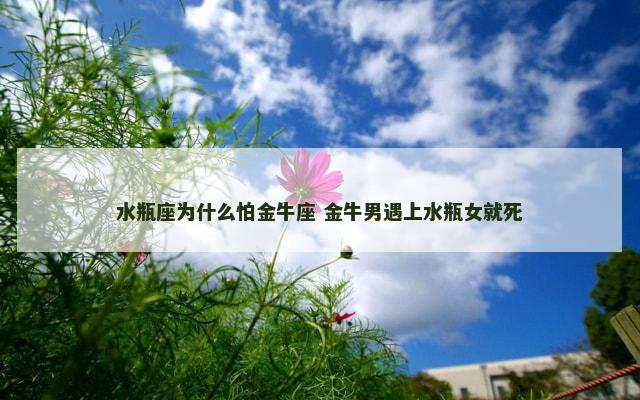 水瓶座为什么怕金牛座 金牛男遇上水瓶女就死