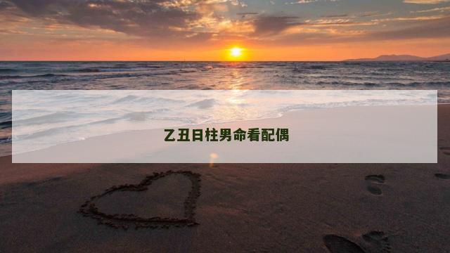 乙丑日柱男命看配偶