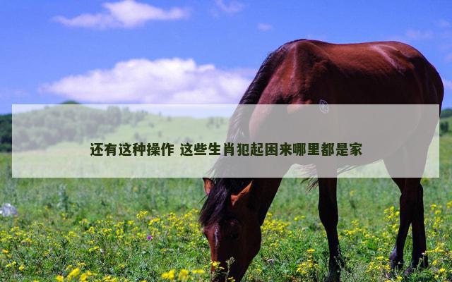 还有这种操作 这些生肖犯起困来哪里都是家