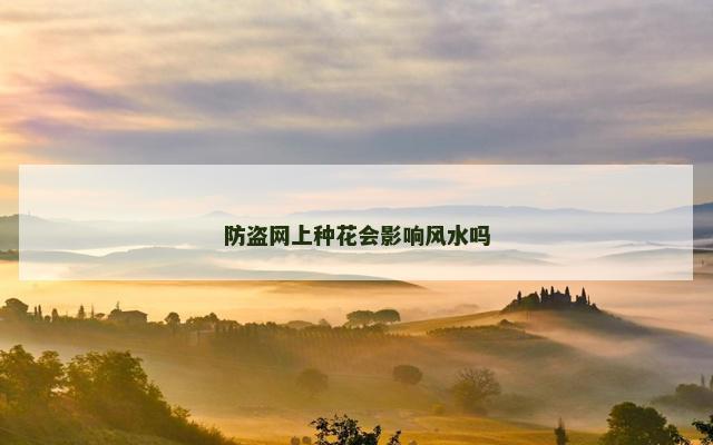 防盗网上种花会影响风水吗