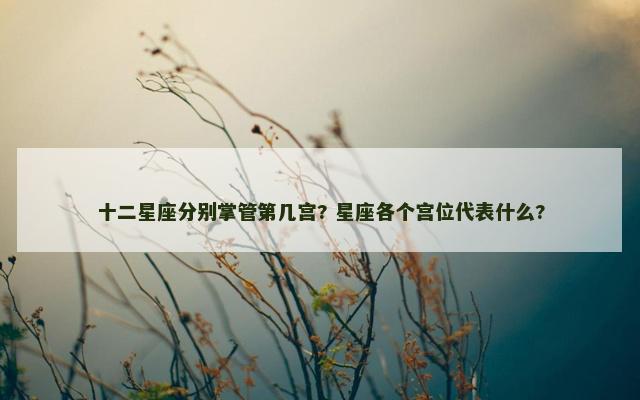 十二星座分别掌管第几宫? 星座各个宫位代表什么?