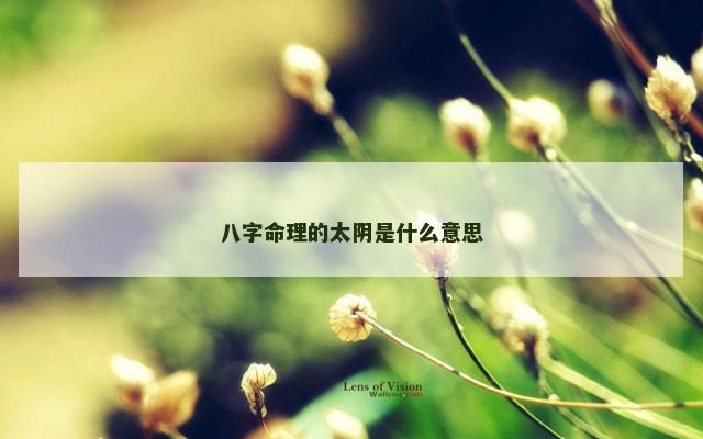 八字命理的太阴是什么意思
