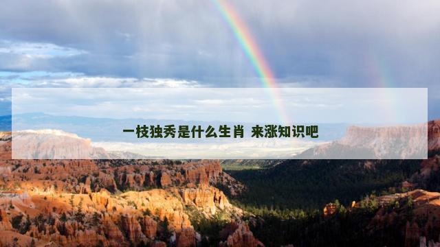 一枝独秀是什么生肖 来涨知识吧