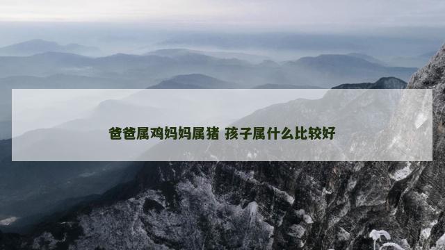 爸爸属鸡妈妈属猪 孩子属什么比较好