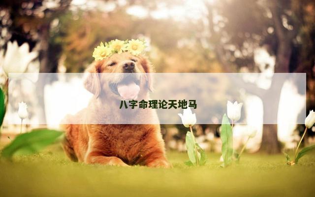 八字命理论天地马