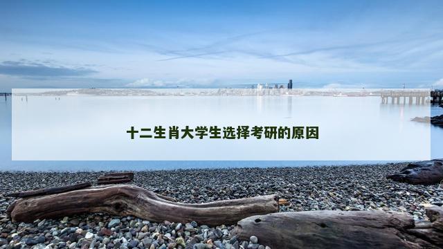 十二生肖大学生选择考研的原因