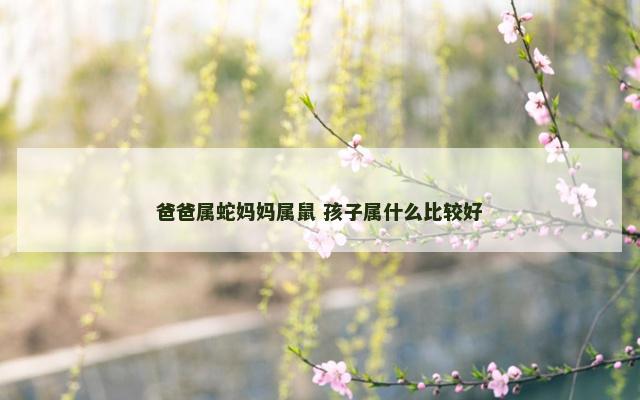 爸爸属蛇妈妈属鼠 孩子属什么比较好