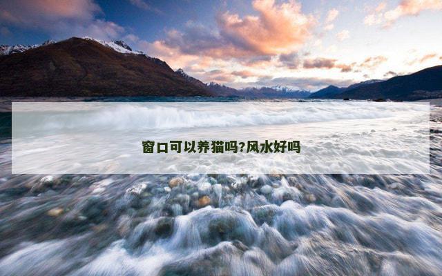 窗口可以养猫吗?风水好吗