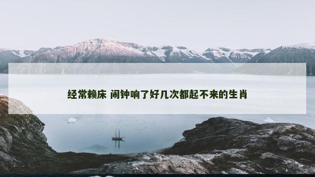 经常赖床 闹钟响了好几次都起不来的生肖
