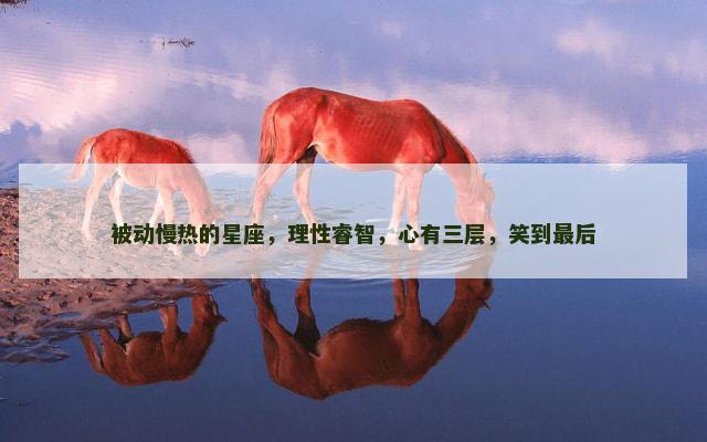 被动慢热的星座，理性睿智，心有三层，笑到最后