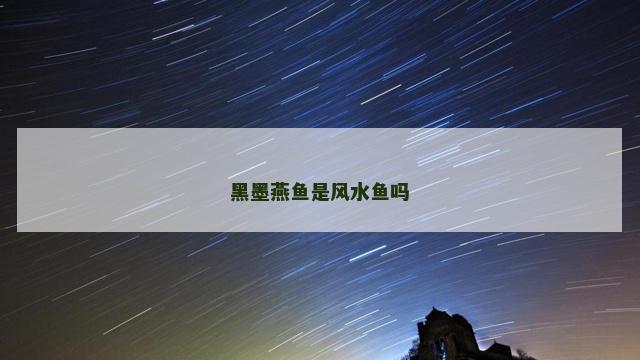黑墨燕鱼是风水鱼吗