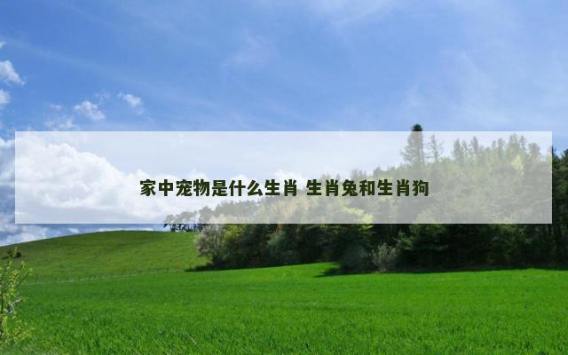 家中宠物是什么生肖 生肖兔和生肖狗