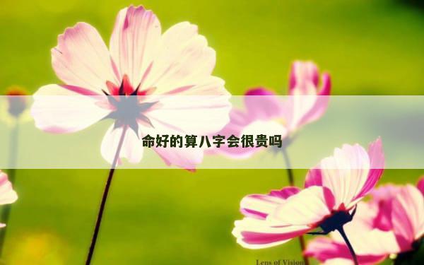 命好的算八字会很贵吗