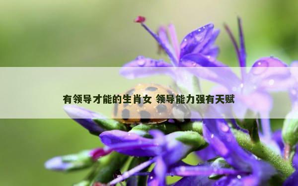 有领导才能的生肖女 领导能力强有天赋