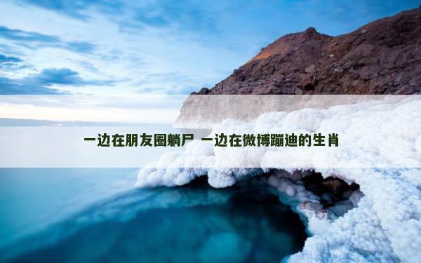 一边在朋友圈躺尸 一边在微博蹦迪的生肖