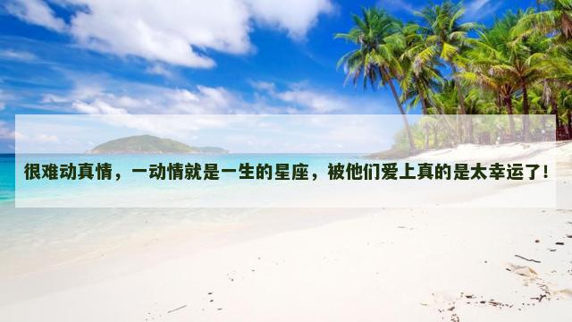 很难动真情，一动情就是一生的星座，被他们爱上真的是太幸运了！