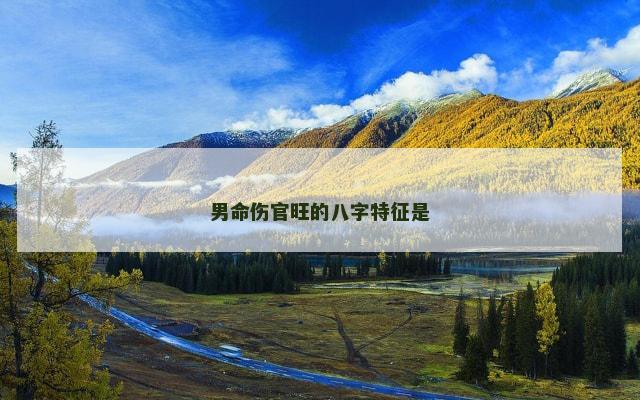 男命伤官旺的八字特征是