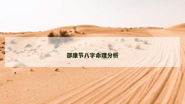 邵康节八字命理分析