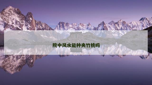 院中风水能种夹竹桃吗