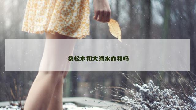 桑松木和大海水命和吗