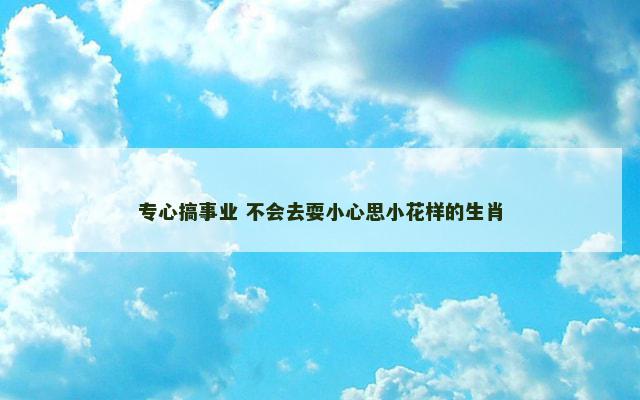 专心搞事业 不会去耍小心思小花样的生肖