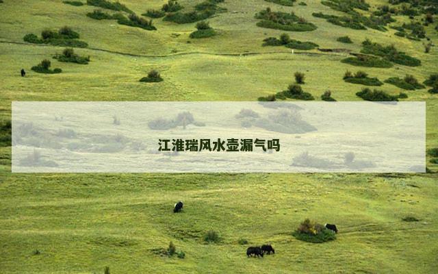 江淮瑞风水壶漏气吗