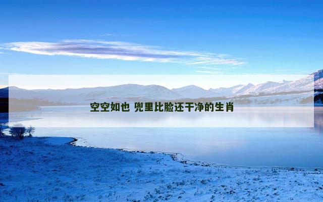 空空如也 兜里比脸还干净的生肖
