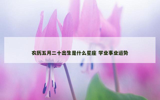 农历五月二十出生是什么星座 学业事业运势