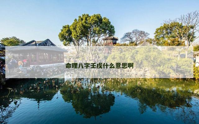 命理八字壬戌什么意思啊