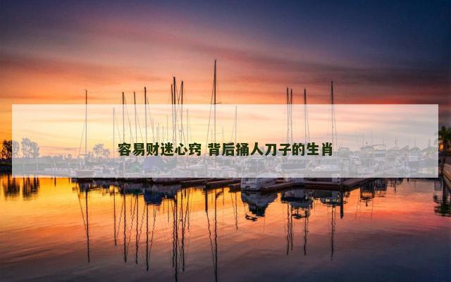 容易财迷心窍 背后捅人刀子的生肖