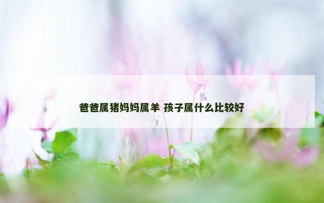 爸爸属猪妈妈属羊 孩子属什么比较好