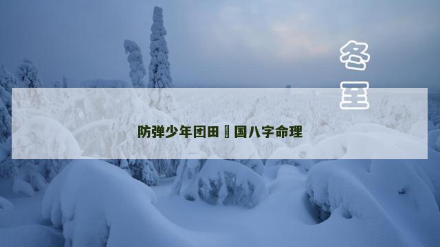 防弹少年团田柾国八字命理
