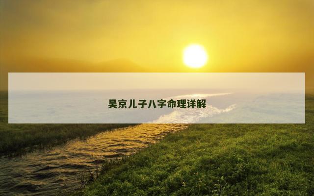 吴京儿子八字命理详解